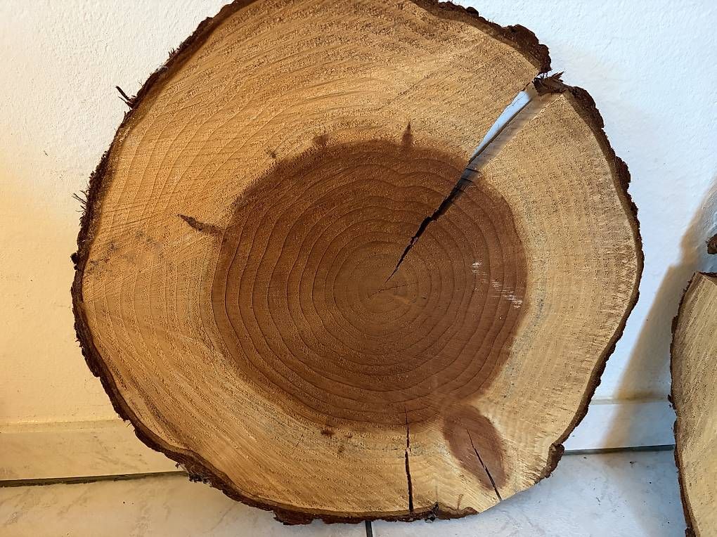 Holzartikel: 4 Holzscheiben, Mammutbaum – Gebraucht aus Rudolfstetten von sonja1963 1