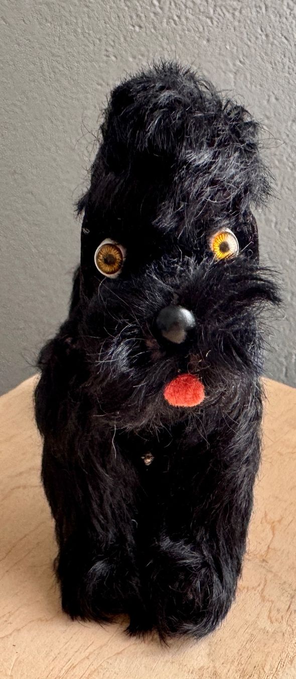 Jouets: Kleiner alter Plüsch Hund Steiff ??? – D'occasion à Rothrist par Luckywinner 5