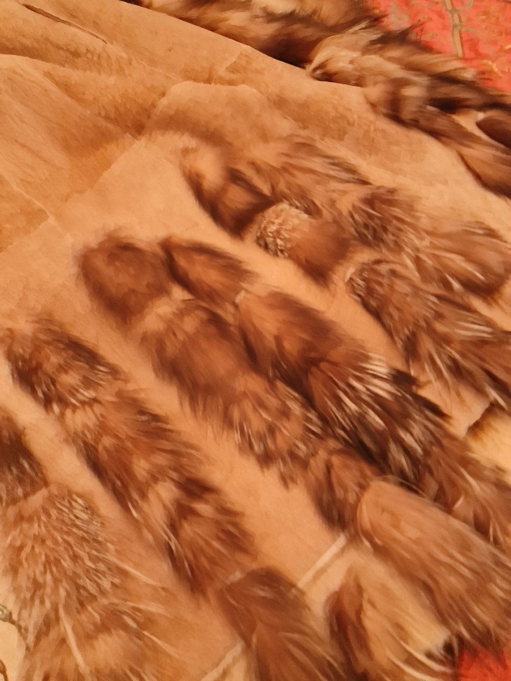 Cappotti: Roberta Scapra Lammfell Mantel. Gr.40 – Usato da Oberglatt ZH venduto da Alischa1 5