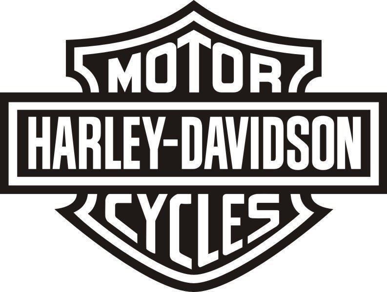 Sticker: Harley Davidson Aufkleber Gross Formatt – Nuovo (secondo la descrizione) da Aarau venduto da Foruschweiz