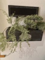 Blumenkistchen
