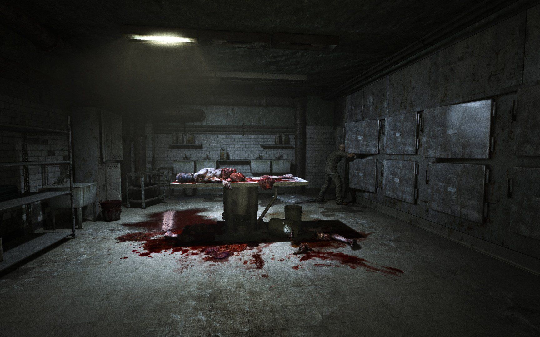 Spiele: Outlast Trinity (PC, 2017 Steam Key Download Code) Keine DVD – Neu (gemäss Beschreibung) aus Bad Säckingen von ms-spiele-keys 2