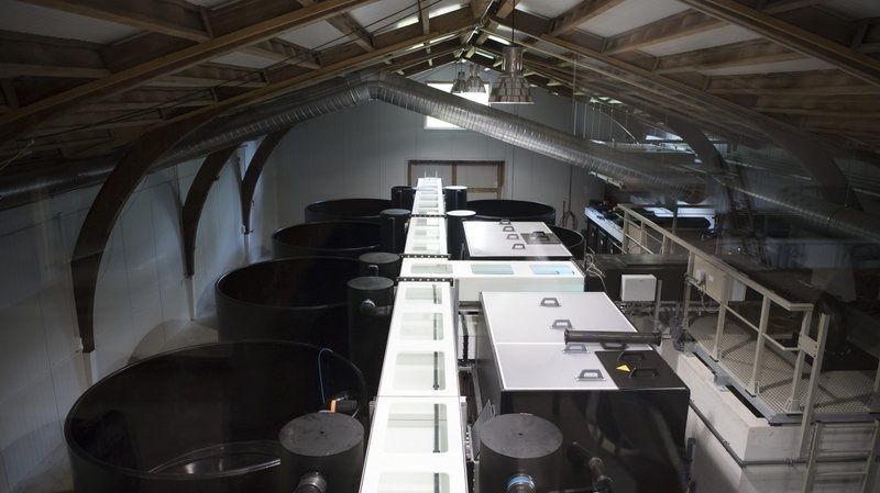 CD: Aquaculture Installation piscicole RAS – Usato da Valangin venduto da Saga2078