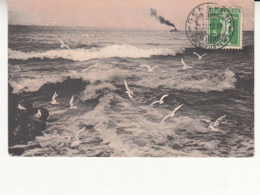 Cartoline postali: Lac Léman 1912 – Usato da Bürglen TG venduto da StampGraf