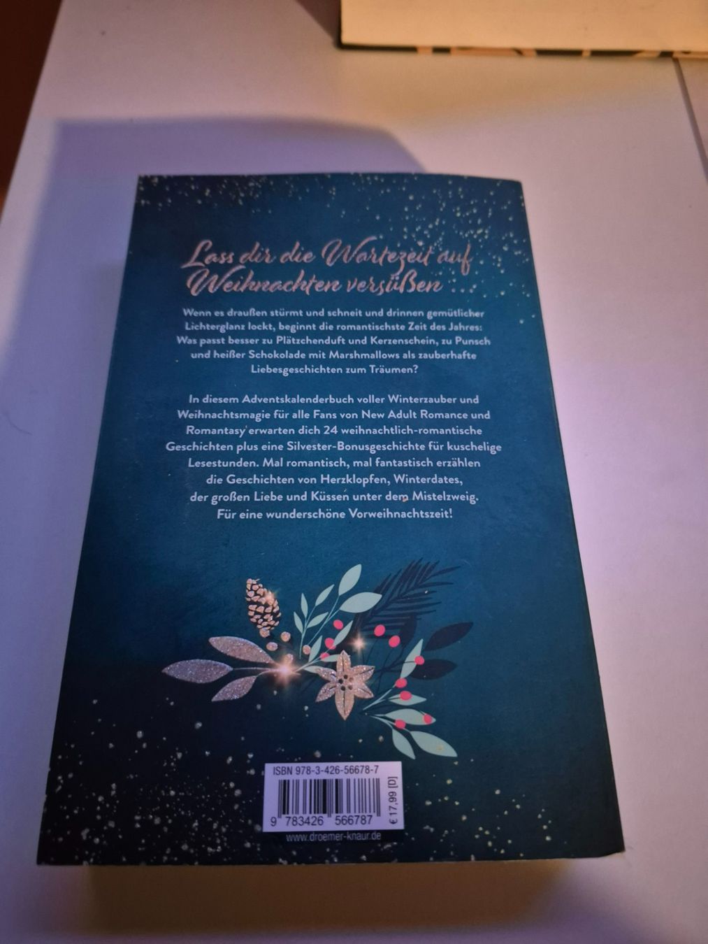 Libri: Adventskalender-Buch: "Meet Me Under The Mistletoe" – Usato da Interlaken venduto da cri_d9sz 1
