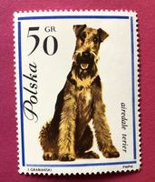 Briefmarken aus Polen Hunde UNGESTEMPELT