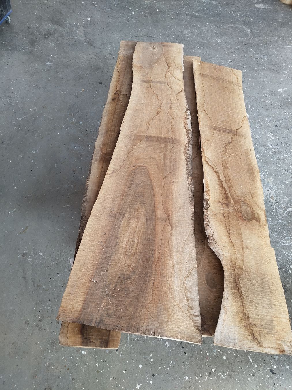 Articoli in legno: Nussbaum Klotzbretter – Nuovo (secondo la descrizione) da Mellingen venduto da joe_9bbf