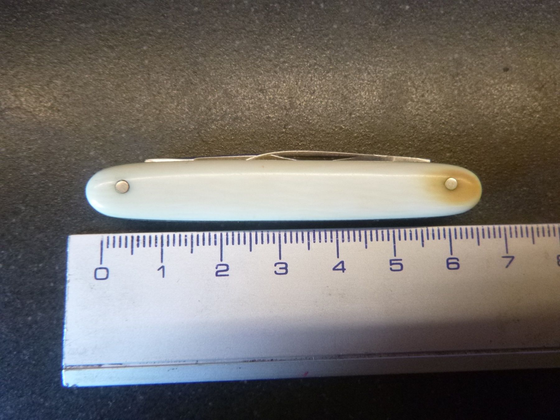 Coltelli tascabile: Inoxyd-Taschenmesser mit Bein-Griffschalen – Usato da Freudwil venduto da Traktor57 5