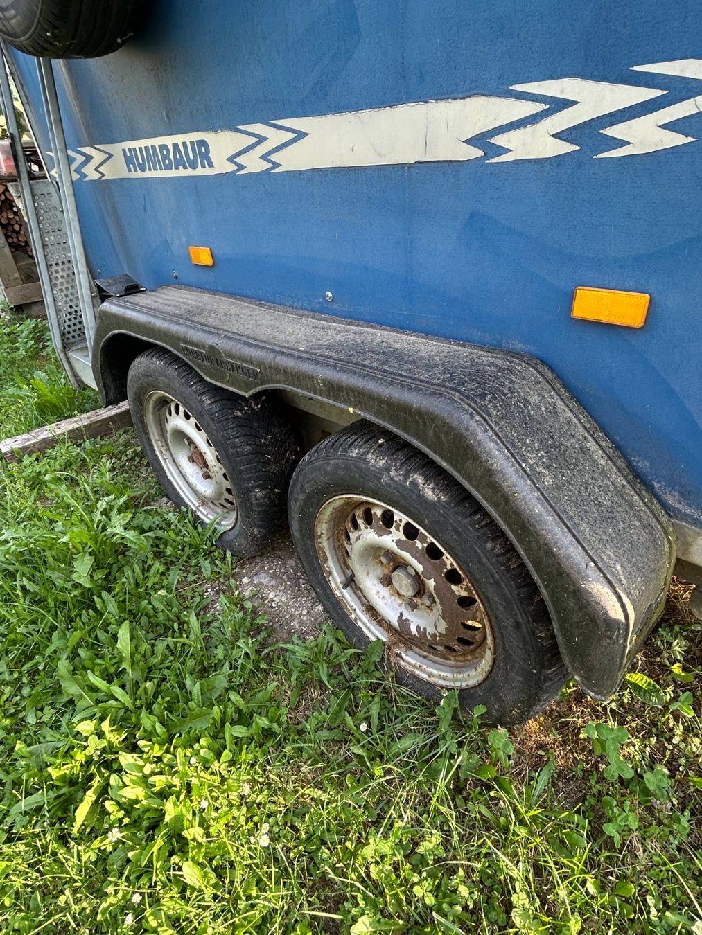 Humbaur Anhänger: Pferdeanhänger – Gebraucht aus Adlikon von 9314cornelia 2