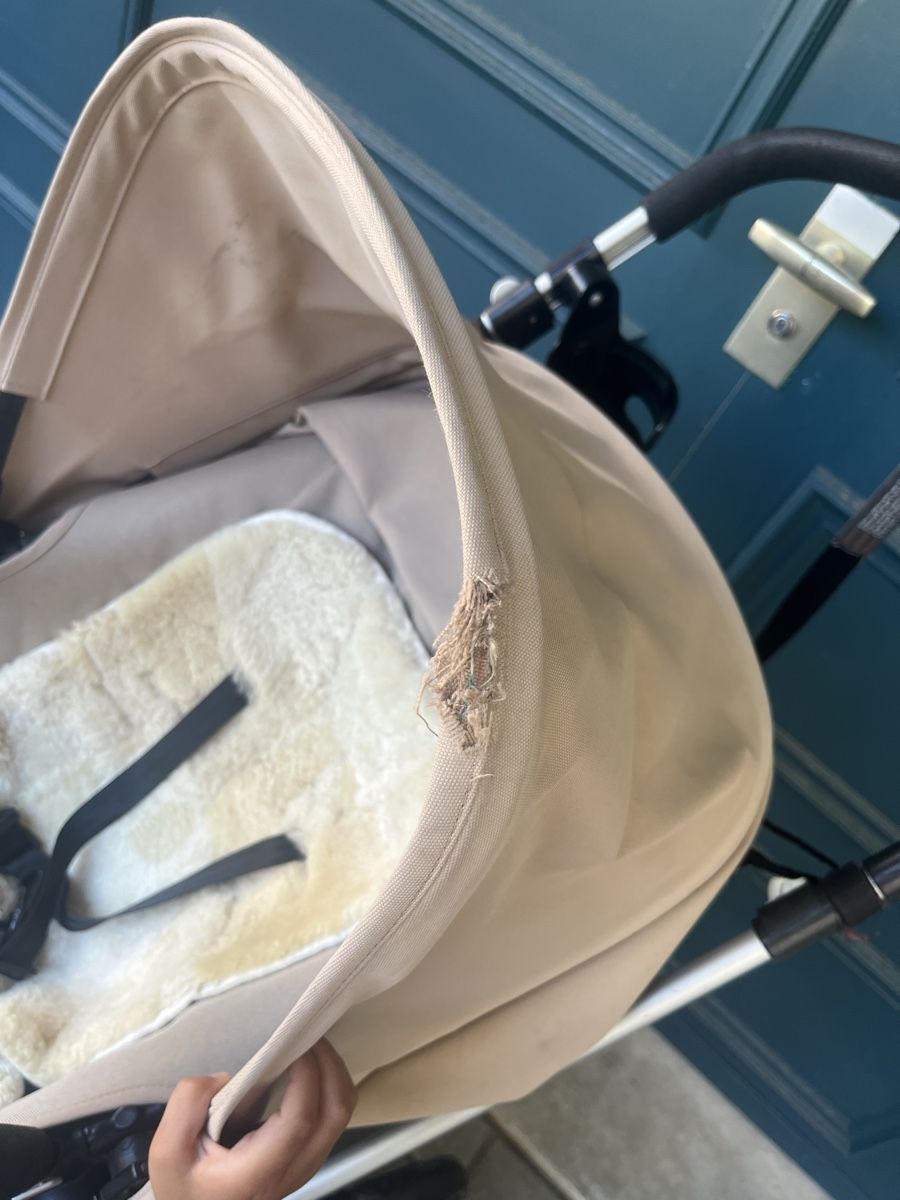 Bugaboo Kinderwagen: Bugaboo Kangaroo mit Zubehör  – Gebraucht aus Affeltrangen von ani_rc9d 3
