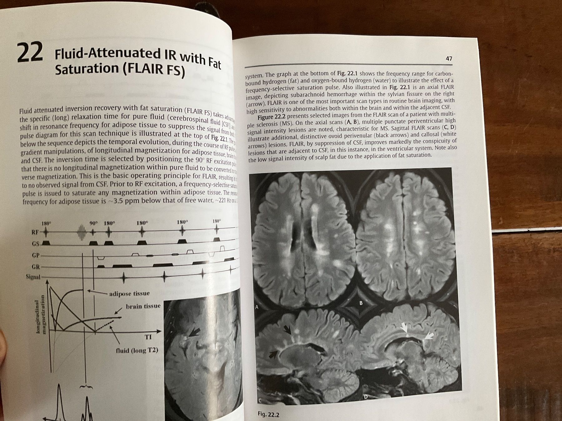 Libri: The Physics of Clinical MR - – Usato da Avenches venduto da Lactobacille 4