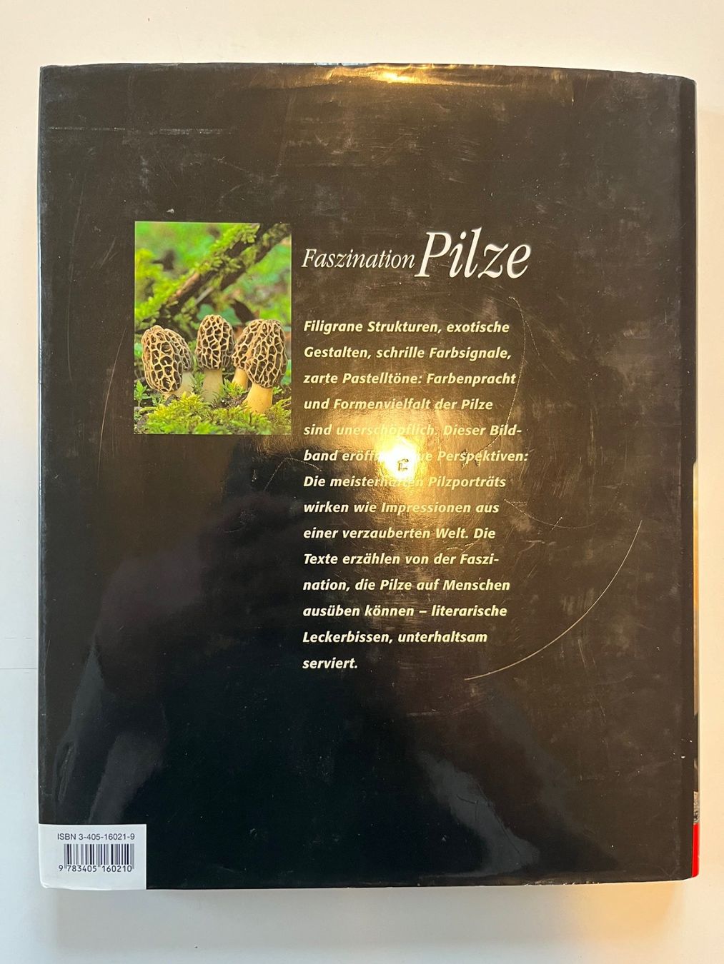 Bücher: Faszination Pilze von Labhardt / Lohmeyer – Gebraucht aus Laufen von Nuria44 1