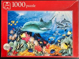 Puzzle 1000 Teile - Delfine
