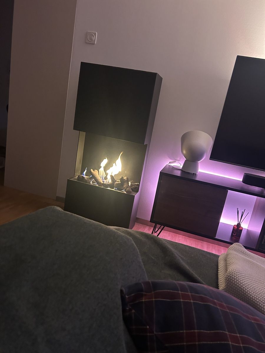 Camini: Ethanol fireplace + 20l ethanol – Usato da Zürich venduto da alexandros.f 2