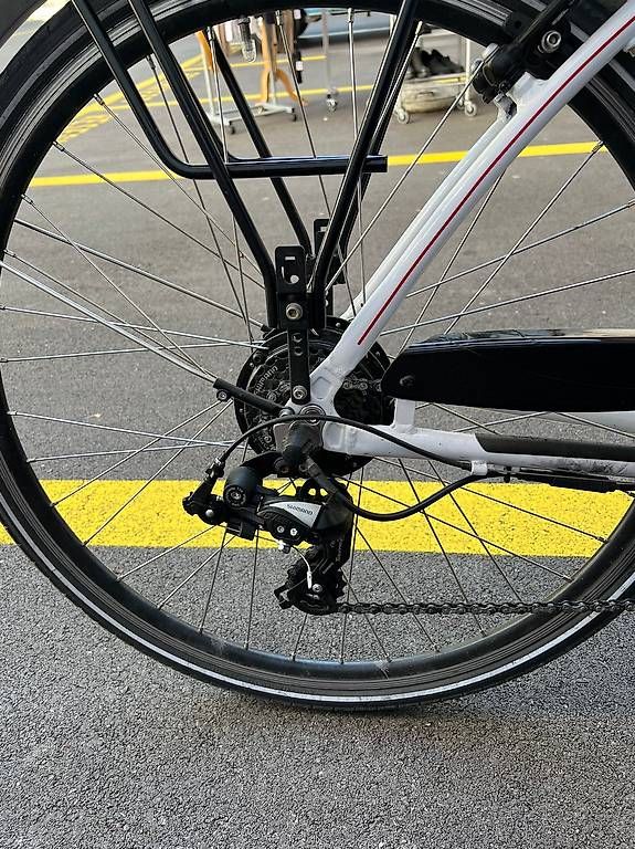 Biciclette: E-Bike Elego 48cm Rahmenhöhe – Usato da Schaffhausen venduto da Galleria13_Brocki_SH 2