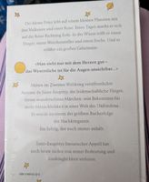 Der kleine Prinz 