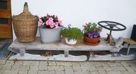 Idealer Steinalter Bob - Schlitten mit Lenkrad