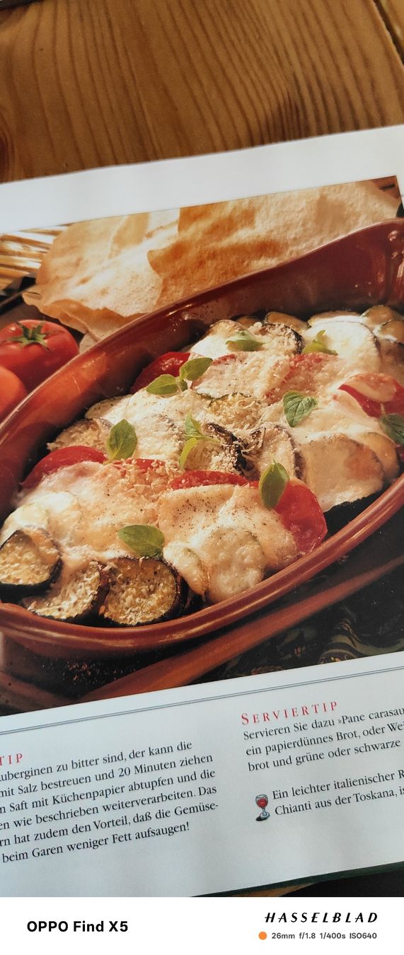 Libri: Aufläufe und Gratins – Usato da Volken venduto da katz5 2