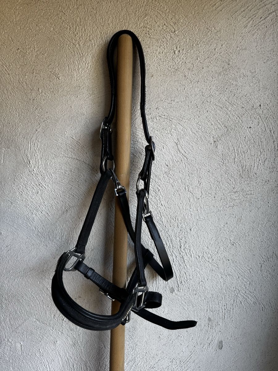 Brides, licols: Lederhalfter schwarz mit Strasssteinen – D'occasion à Jaberg par alee_leika 1