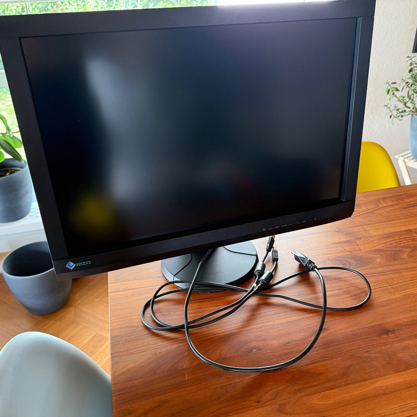 Eizo Monitor: EIZO COLOREDGE CX240 – Usato da Gerlafingen venduto da Alexp4485 1