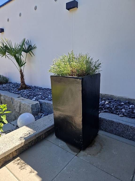 Pots de fleurs: +++2 grosse vasen mit lavendel bepflanzt+++ – D'occasion à Kriens par sanica 1