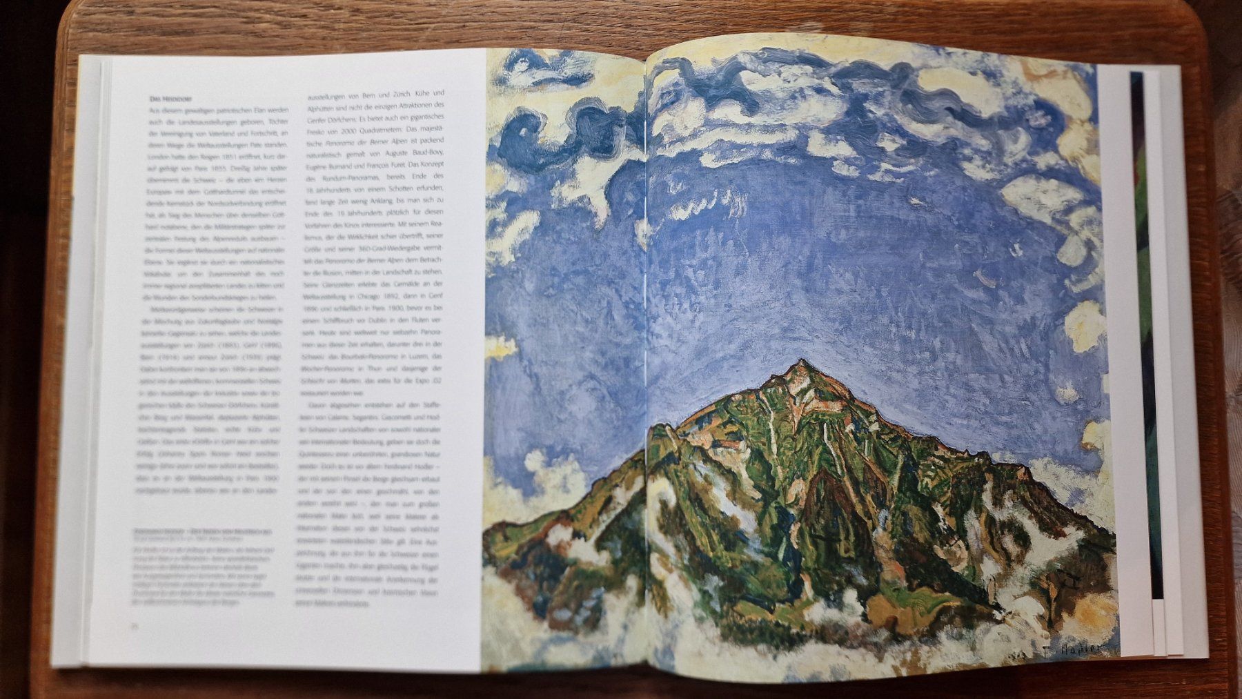 Libri: Schweizer Alpen  -  500 Jahre Malerei – Usato da Röthenbach i. E. venduto da Heureka5 4