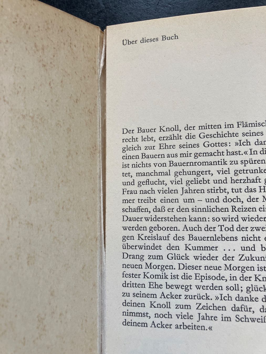 Livres: Bauernpsalm. F. Timmermans – D'occasion à Wangen ZH par day01 2