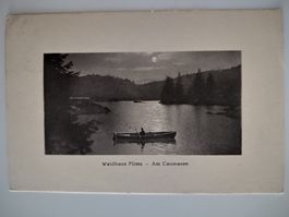 Waldhaus Flims Caumasee gebraucht 1911