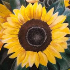 Profile image of flowerfan