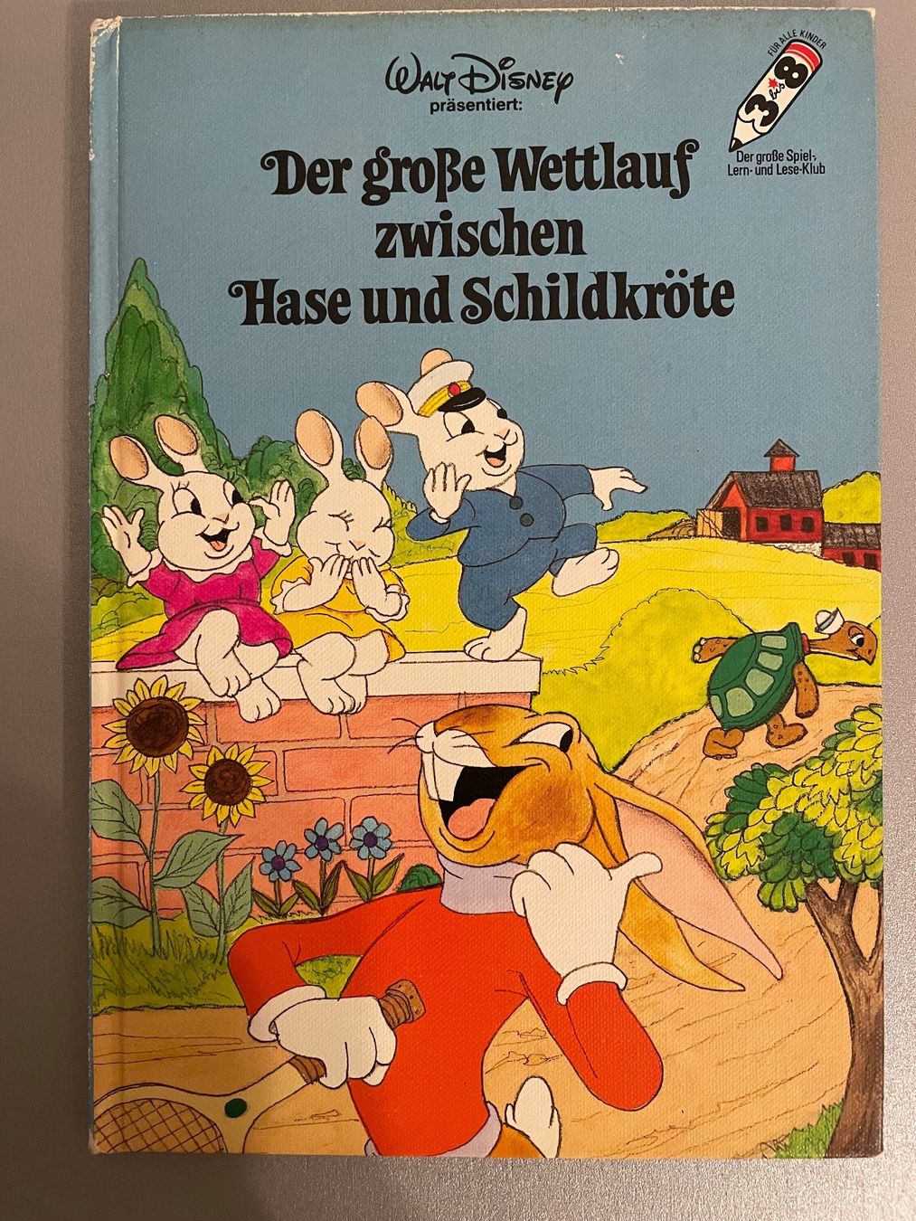 Libri: Disnye Bücher – Usato da Chur venduto da Tsambiko 7