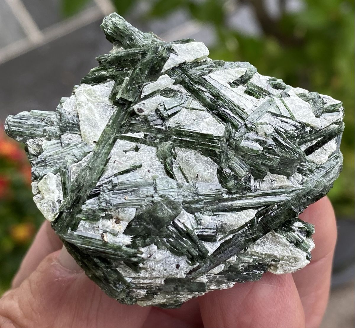 Mineralien & Heilsteine: Top Aktinolith  – Gebraucht aus Selzach von 321compac 2