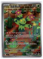 Maractus (sv9 101) AR