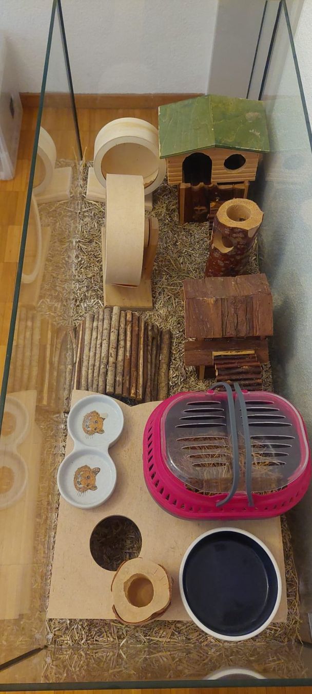 Terrario: Hamsterkäfig – Usato da Bern venduto da and_vq7p