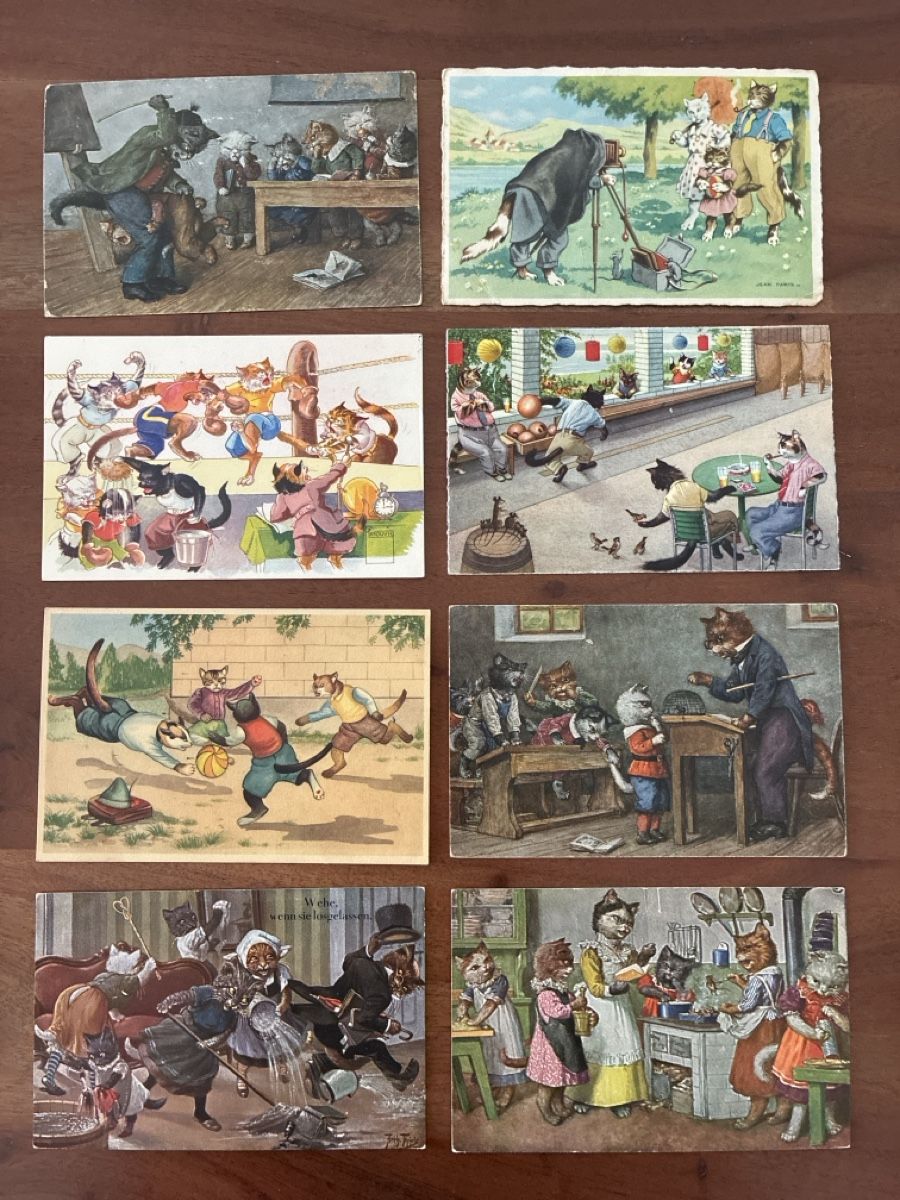 Cartoline postali: 16 Ansichtskarten Schweiz diverse mit Katzen Motiven – Usato da Oftringen venduto da Cla.vD.74
