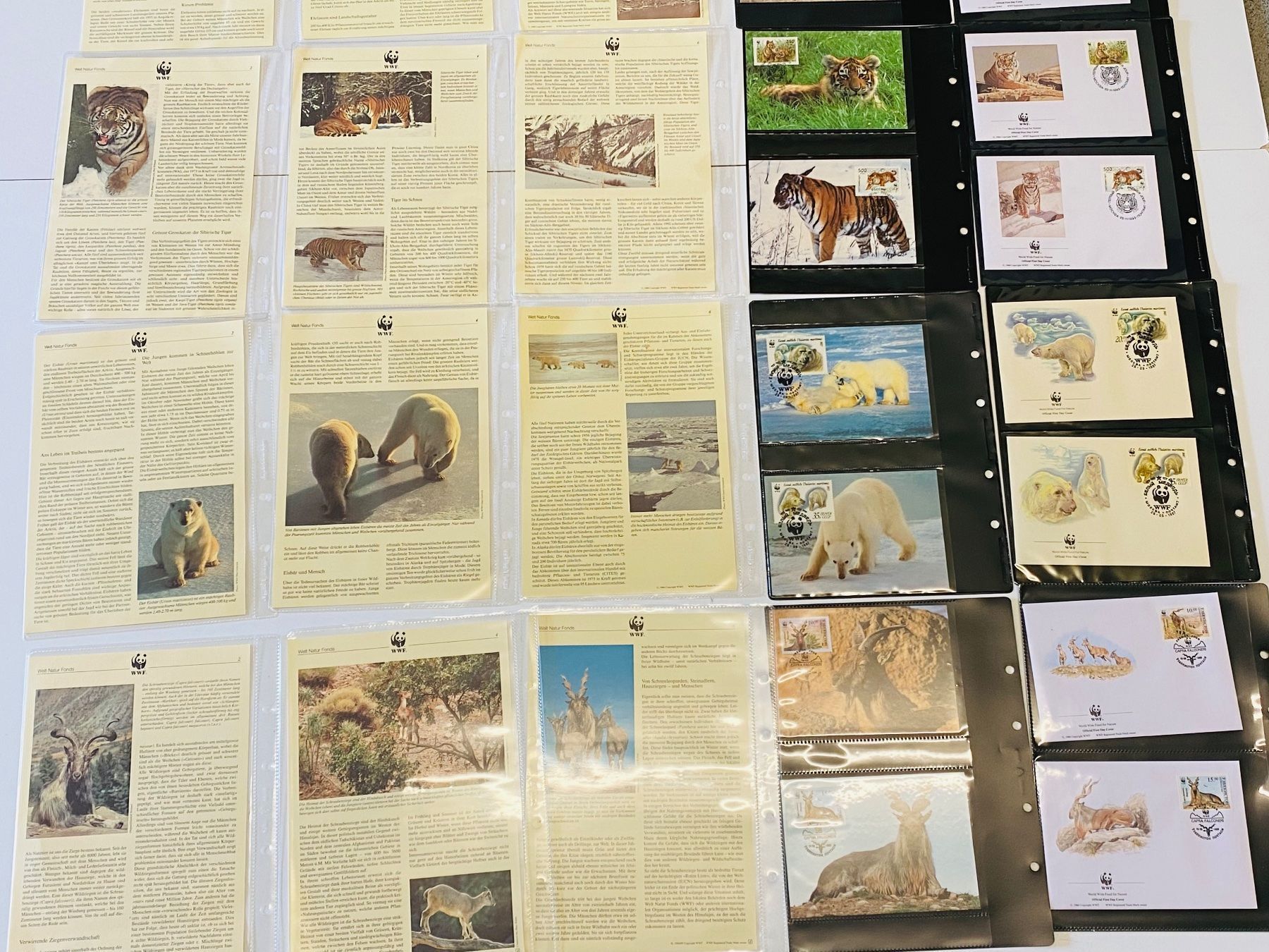 Tutti i francobolli: Sammlung 50 Seiten Tiger Leopard Elefant Eisbär Ziege – Nuovo (secondo la descrizione) da Müswangen venduto da buyin 7