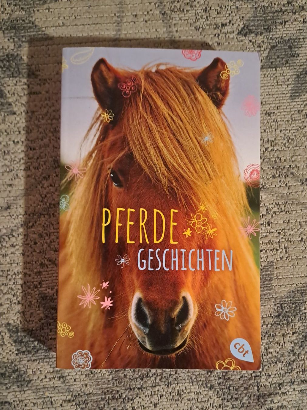 Libri: Pferde Geschichten – Usato da Zürich venduto da mili021