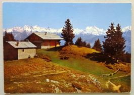 Les Plans-Mayens et les Alpes valaisannes