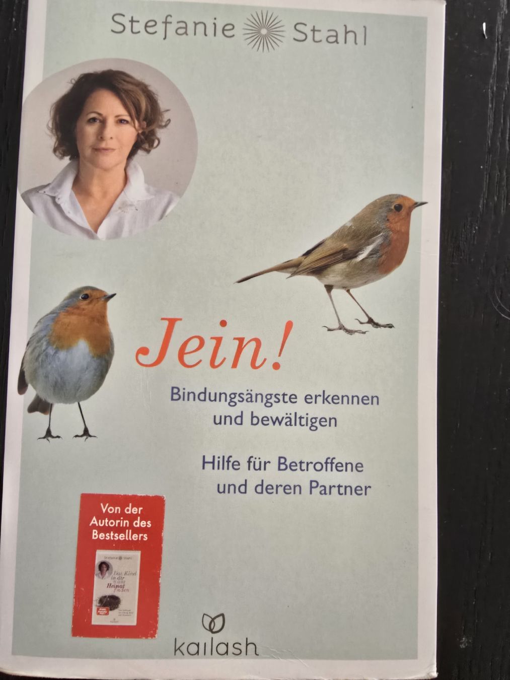 Libri: Stefanie Stahl ->  Jein – Usato da Knonau venduto da CorinaPhillips