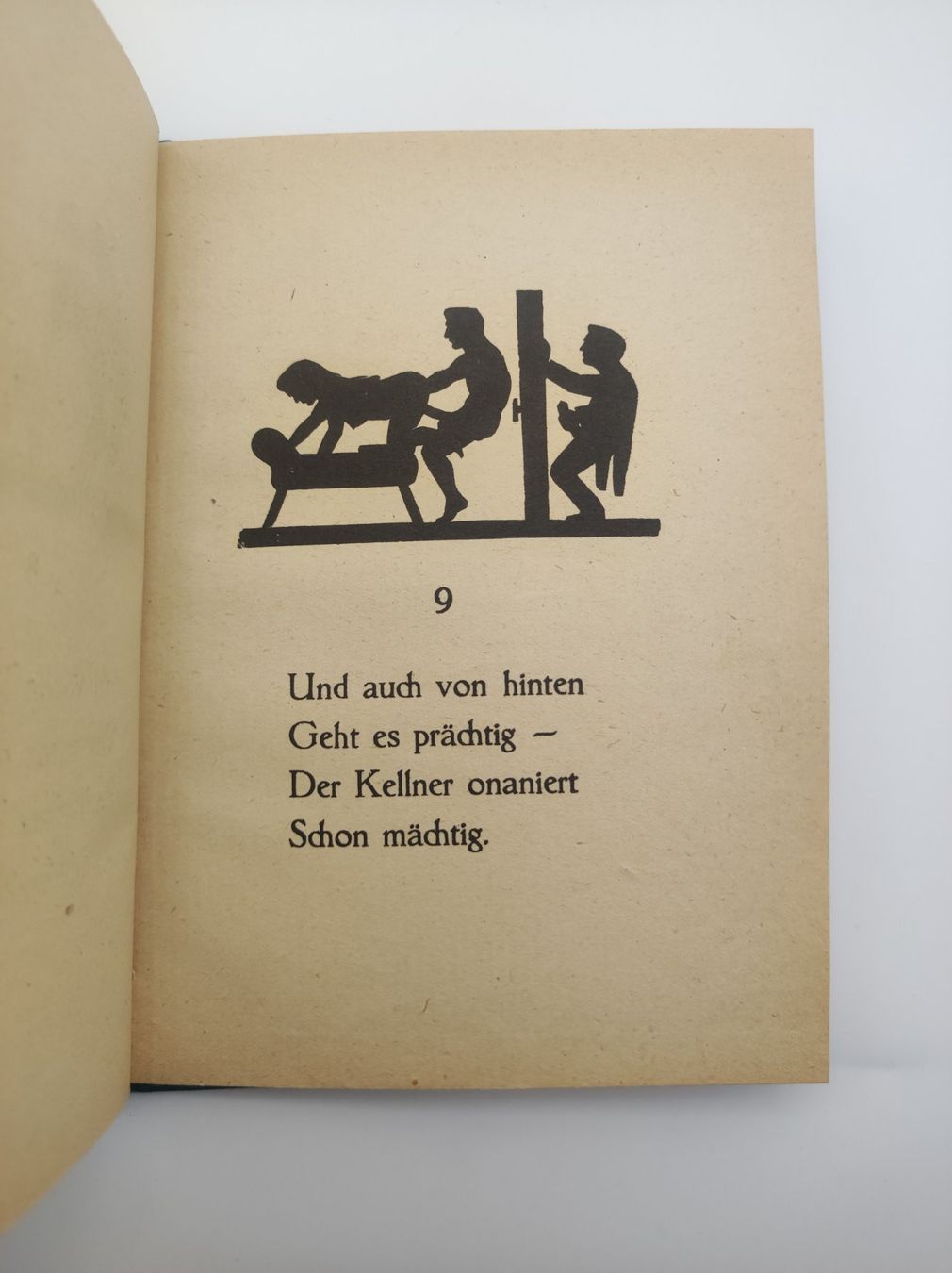 Libri: SCHLIESSMANN - WOLF IN DER AU – Usato da Goldach venduto da Gaip 4