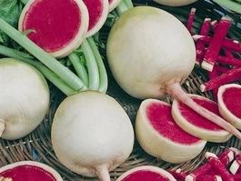Radis Pastèque ! 40g