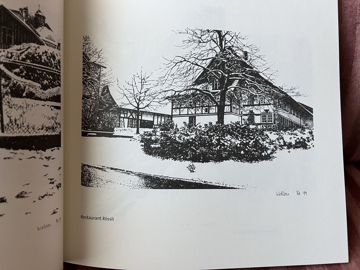 Libri: Wohler Ansichten im Schnee – Usato da Hermetschwil - Staffeln venduto da Juergso 3
