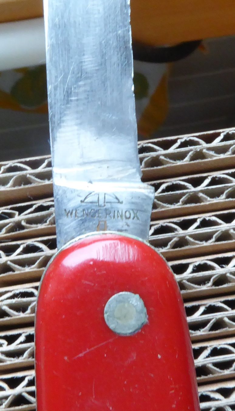 Wenger Coltelli tascabile: Wengerinox Sackmesser – Usato da Gossau SG venduto da tenerife11 7