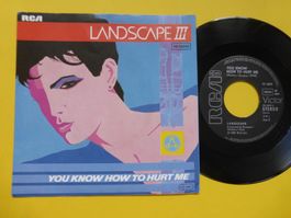 Landscape III – You Know How To Hurt Me