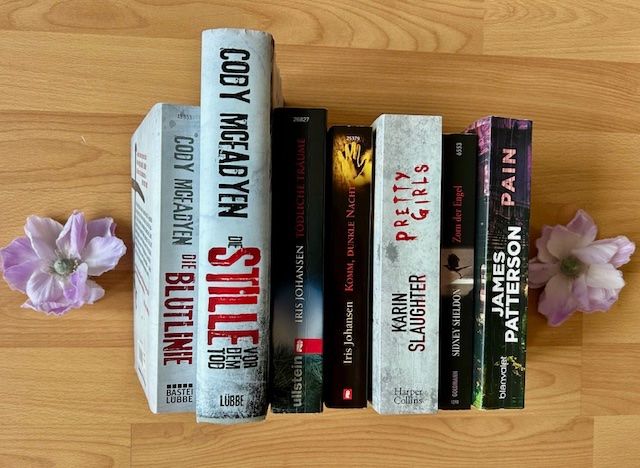 Bücher: Cody Mcfadyen, Iris Johansen, Karin Slaughter,Sidney Sheldon – Neu (gemäss Beschreibung) aus Bern von Denzel8 5