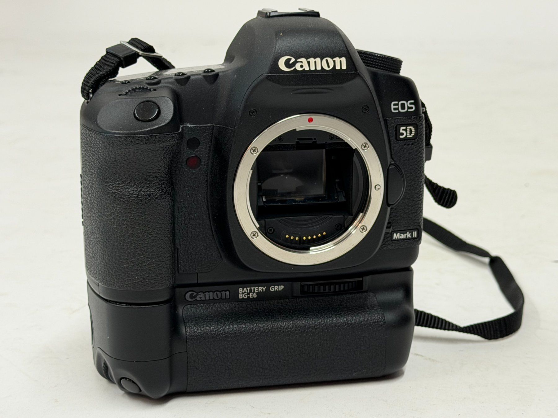 Canon Kamera: Canon EOS 5D Mark II + Original Canon BG-E6 Batteriegriff – Gebraucht aus Olten von antonio.troia