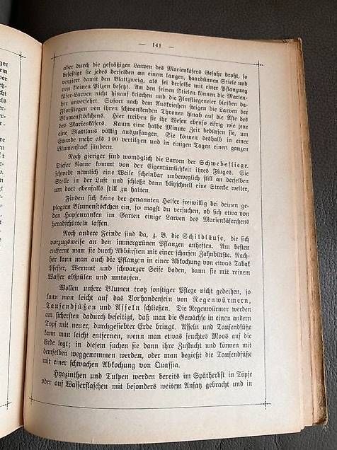 Libri: Der Kinderfreund 1906 - Schweizer Schülerzeitung – Usato da Eschlikon TG venduto da Farewell01 1