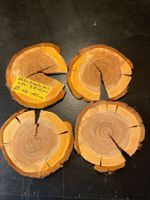 Holzscheiben Kirsche 4 Stück