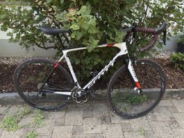 Carbon Rennrad Scott Solace