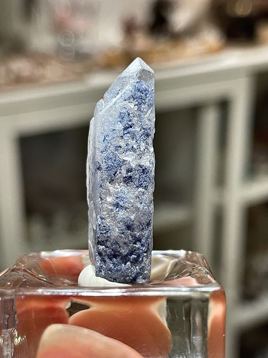 Minerali & Pietre curative: Extrem seltener Dumortierit-Quarz – Usato da Schiers venduto da sisikristall