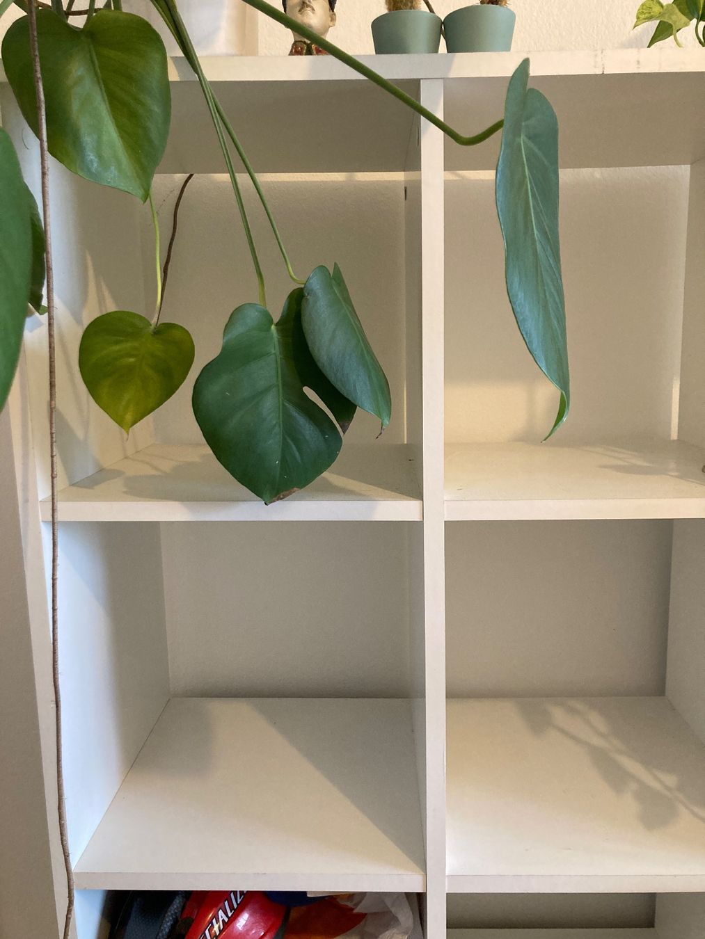 Ikea Étagères: Étagère blanche – D'occasion à Genève par mer_s9dr 2